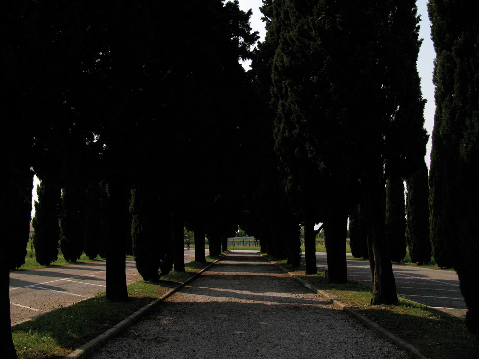 Alfredo Jaar, The Ashes of Pasolini, 2009. Courtesy: Galleria Lia Rumma, Milano