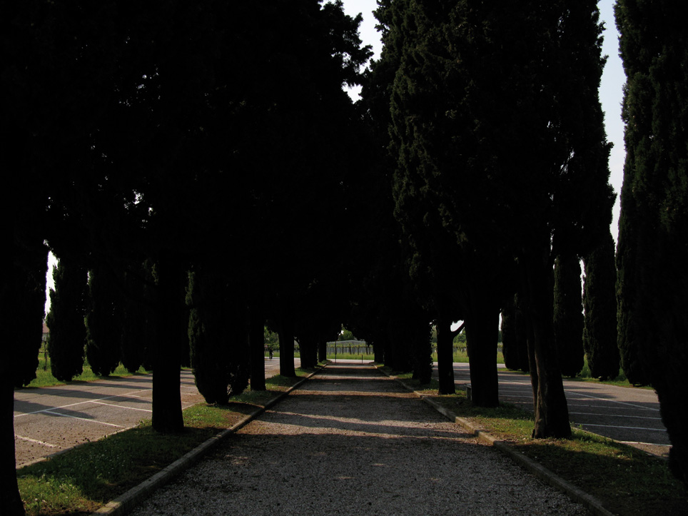 Alfredo Jaar, The Ashes of Pasolini, 2009. Courtesy: Galleria Lia Rumma, Milano