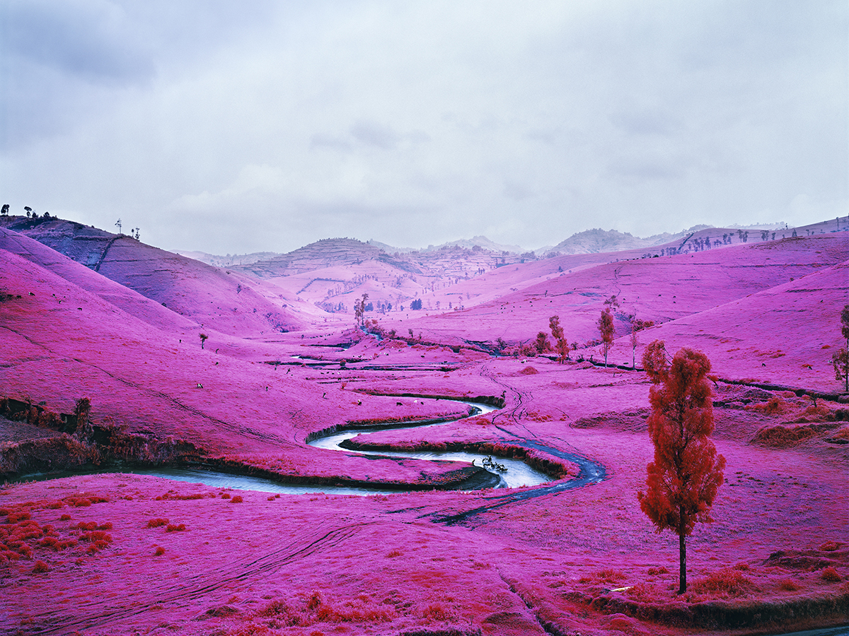 Richard Mosse, Padiglione Irlanda, Biennale di Venezia