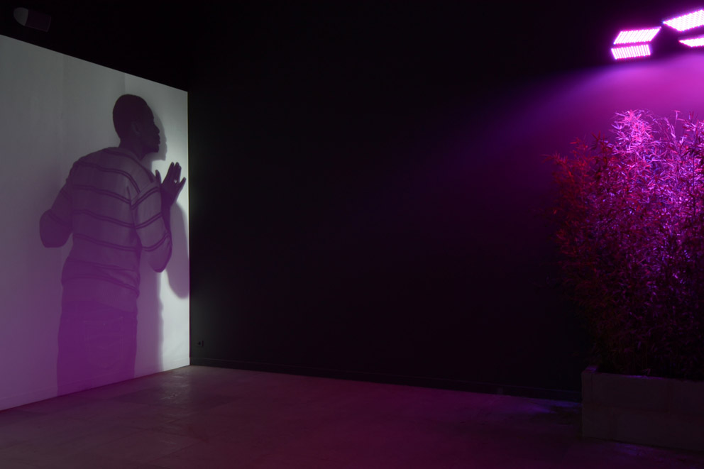 Biennale Arte 2013 Padiglione Danimarca