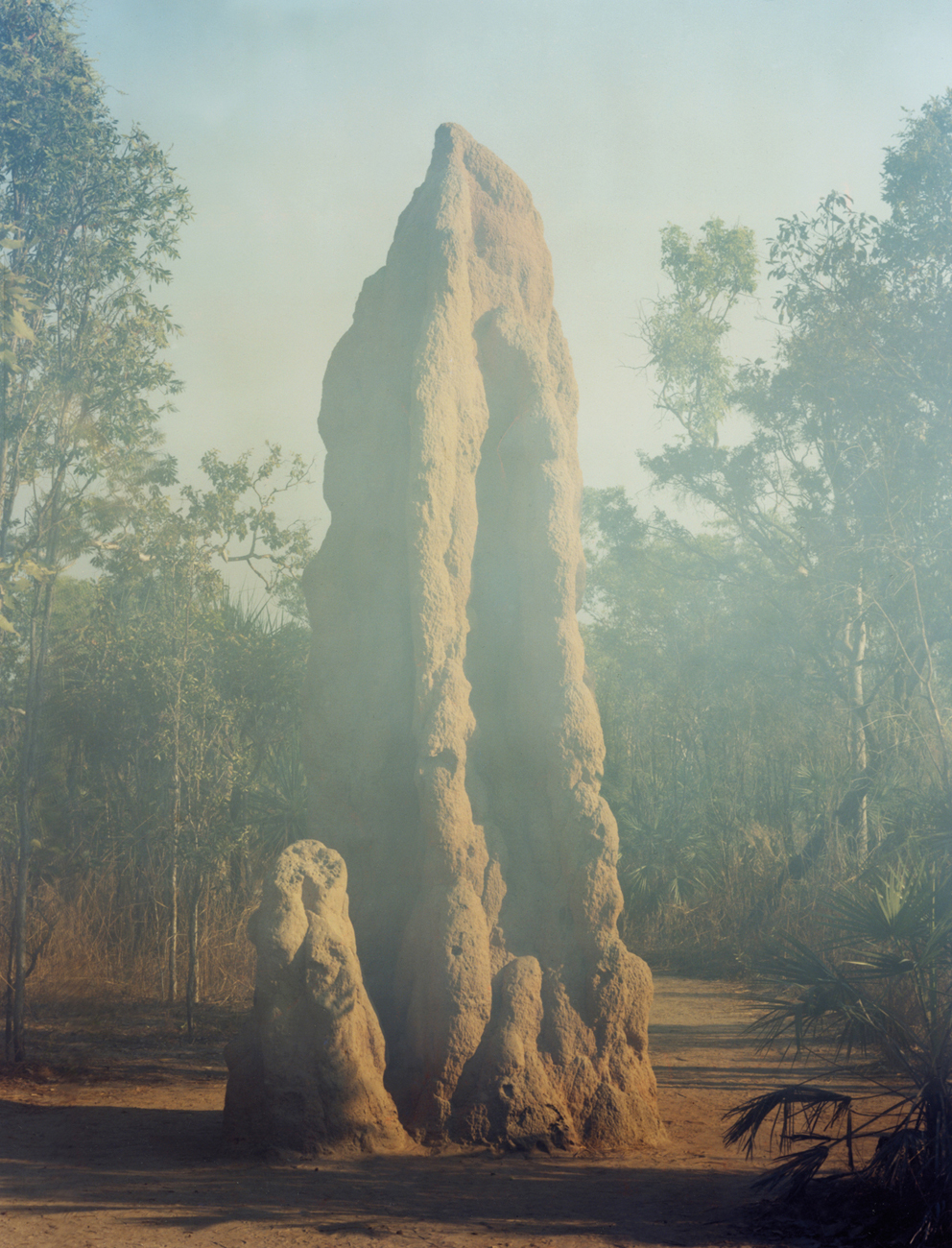 Daniel Gustav Cramer, Untitled (Termite Mound), 2010. Courtesy: BolteLang Galerie, Zurich, and Daniel Gustav Cramer.