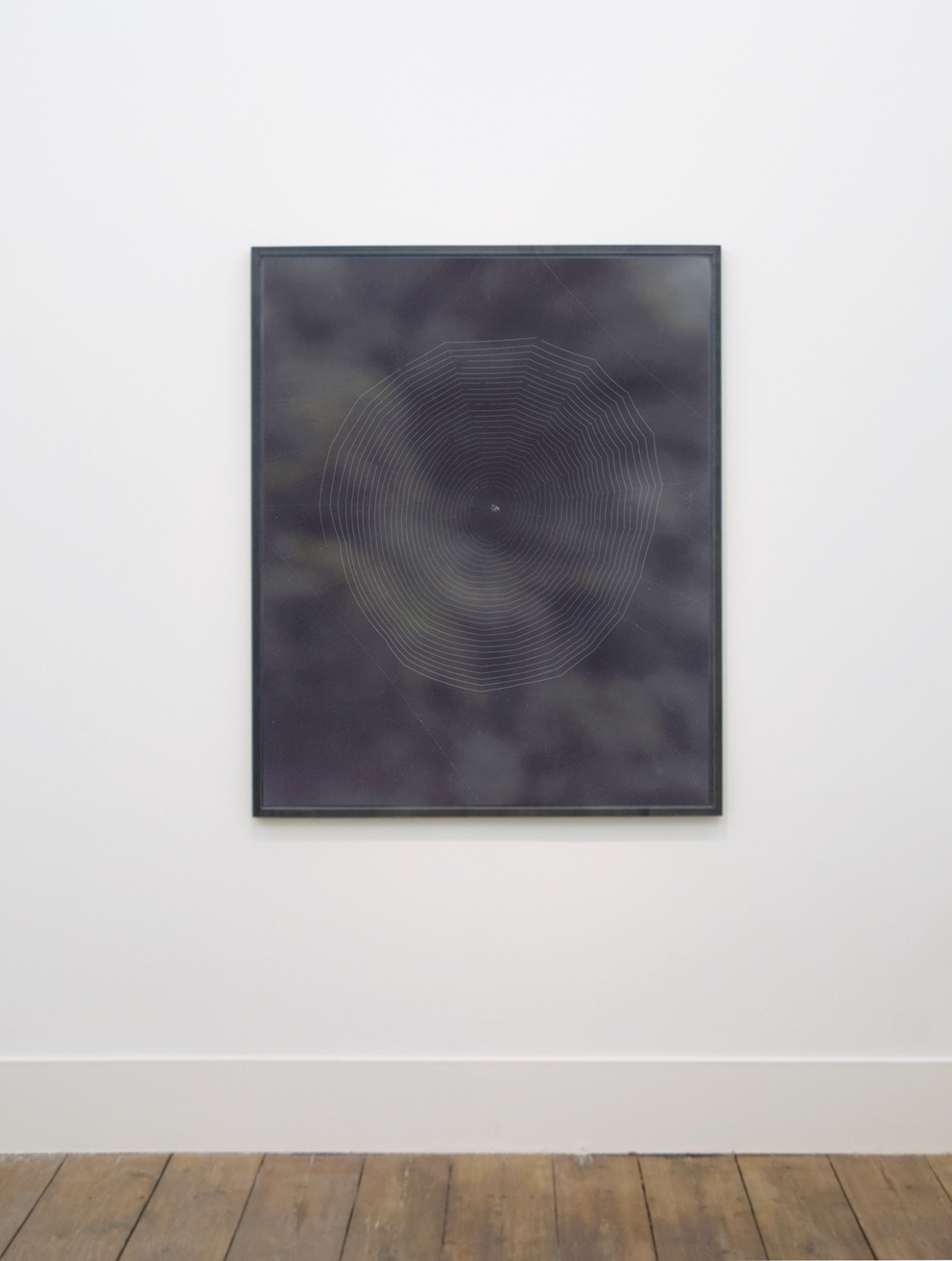 Daniel Gustav Cramer, Untitled (Spiderweb), 2009. Courtesy: BolteLang Galerie, Zurich, Vera Cortes, Lisboa, and Daniel Gustav Cramer.