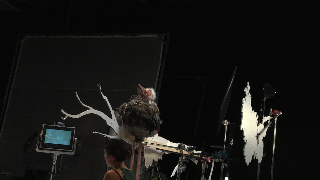 Resistance di Ali Kazma, Biennale di Venezia, Arte 2013