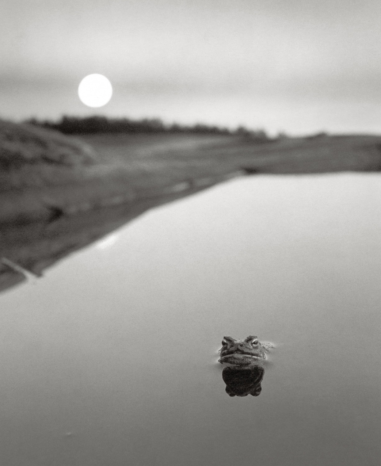 Qui, altrove di Pentti Sammallahti