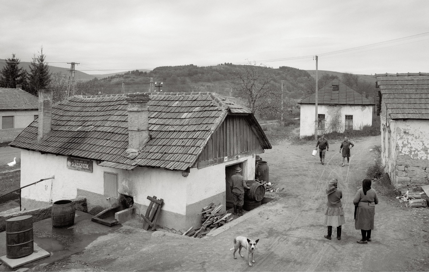 Qui, altrove di Pentti Sammallahti