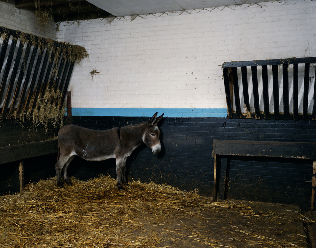Jeff Wall in Munich, Pinakothek der Moderne.