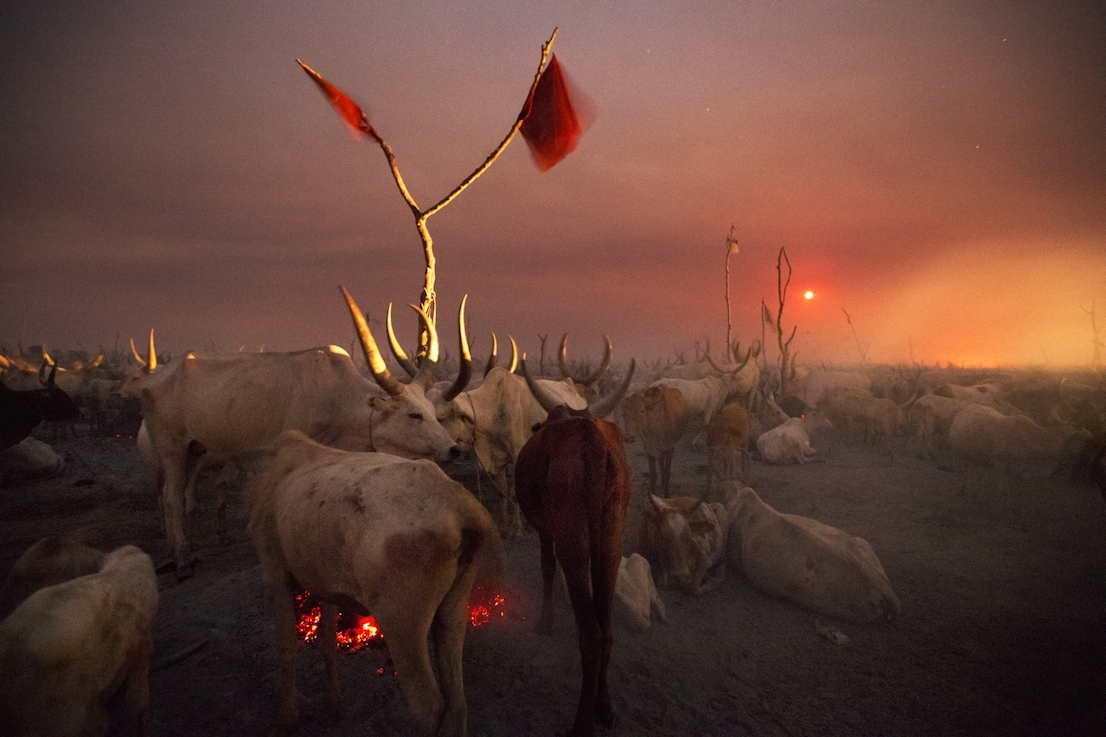 Foto di Kazuyoshi Nomachi. Un accampamento di allevatori nella notte mentre sorge la luna piena Jonglei, Sudan del Sud 2012.