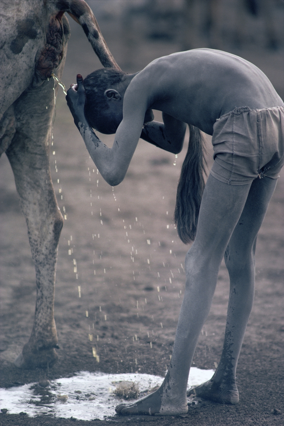 Foto di Kazuyoshi Nomachi. Un ragazzo Nuer si lava i cappelli con l’urina di mucca Jonglei, Sudan del Sud, 1981.