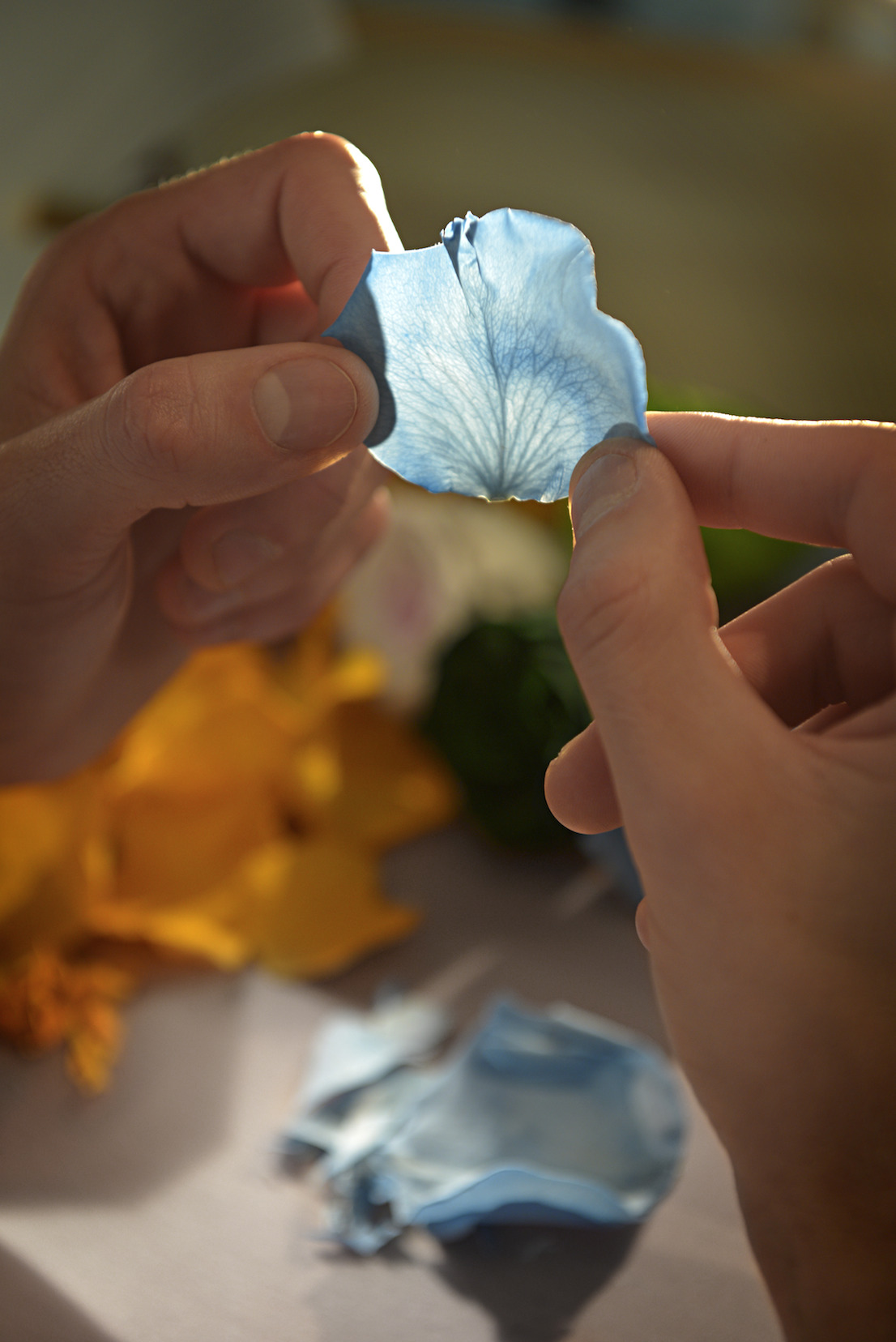 Ballon Bleu Perroquet en marqueterie florale, Cartier