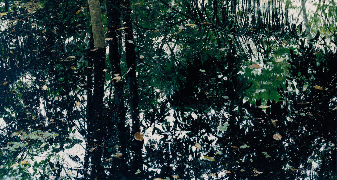Axel Hütte Rio Negro‐4, Brasile dalla serie Water Reflections, 1998.