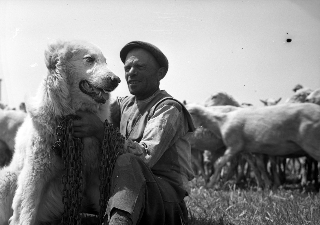 Federico Patellani. Puglia, 1947