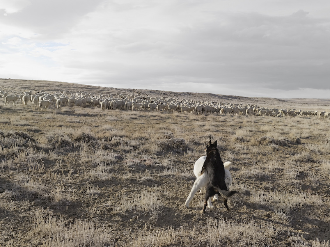 Frountcountry, foto di Lucas Foglia