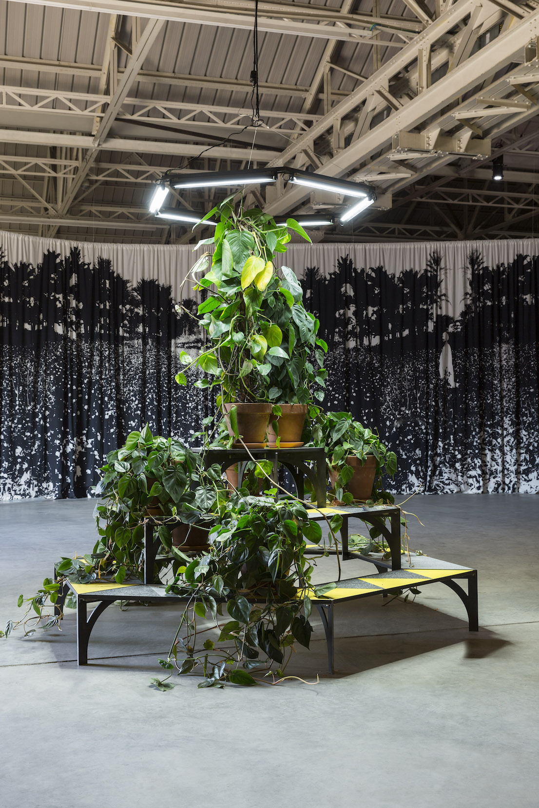 Celine Condorelli, A Bras Le Corps – with Philodendron (to Amalia Pica), 2014. Courtesy l’artista, Fondazione HangarBicocca, Milano. Foto Agostino Osio.