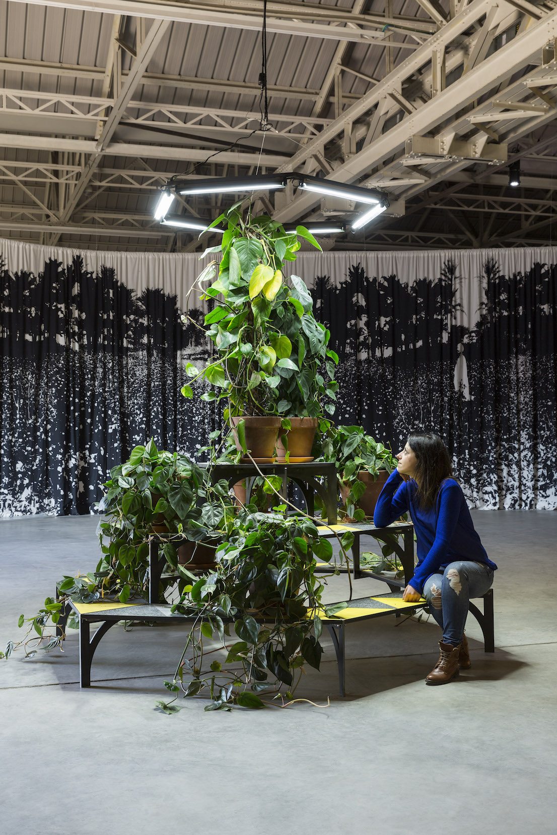 Celine Condorelli, A Bras Le Corps – with Philodendron (to Amalia Pica), 2014. Courtesy l’artista, Fondazione HangarBicocca, Milano. Foto Agostino Osio.