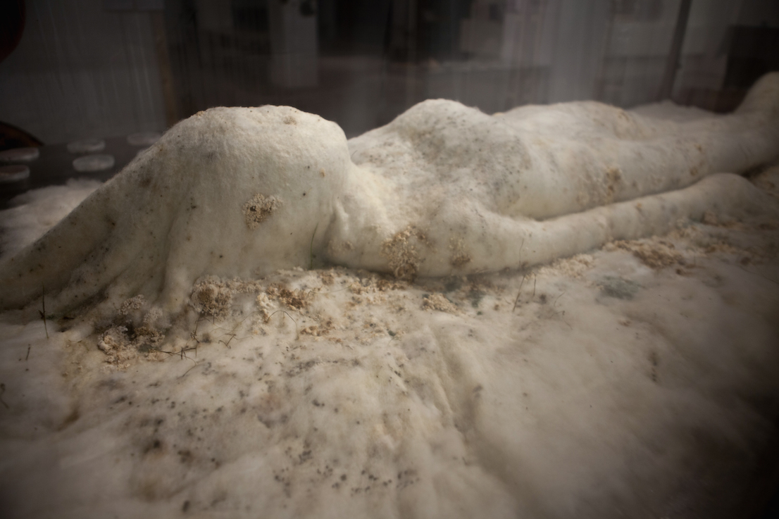 Maurizio Montalti, Continuous Bodies - Bodies of Change.