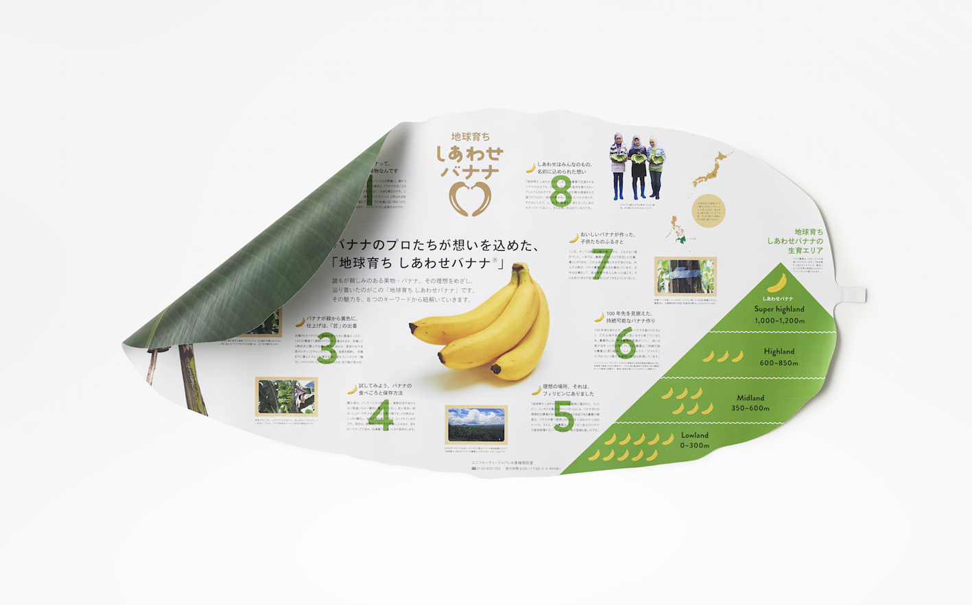 Shiawase Banana, Nendo.