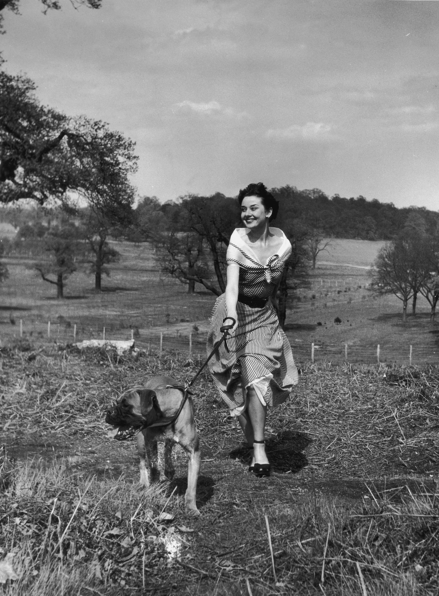 Unpublished photograph of Audrey Hepburn in Richmond Park by Bert Hardy, 30 April 1950 ©Bert Hardy/Getty Images