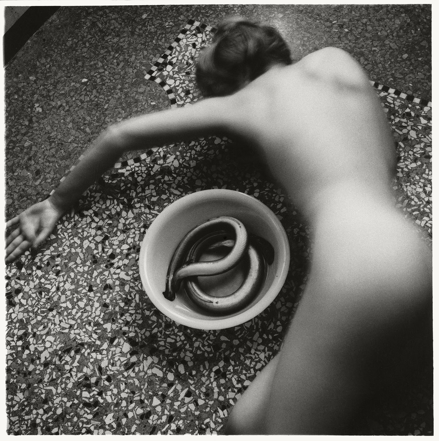 Francesca Woodman, from Eel Series, 1978. © Betty and George Woodman.