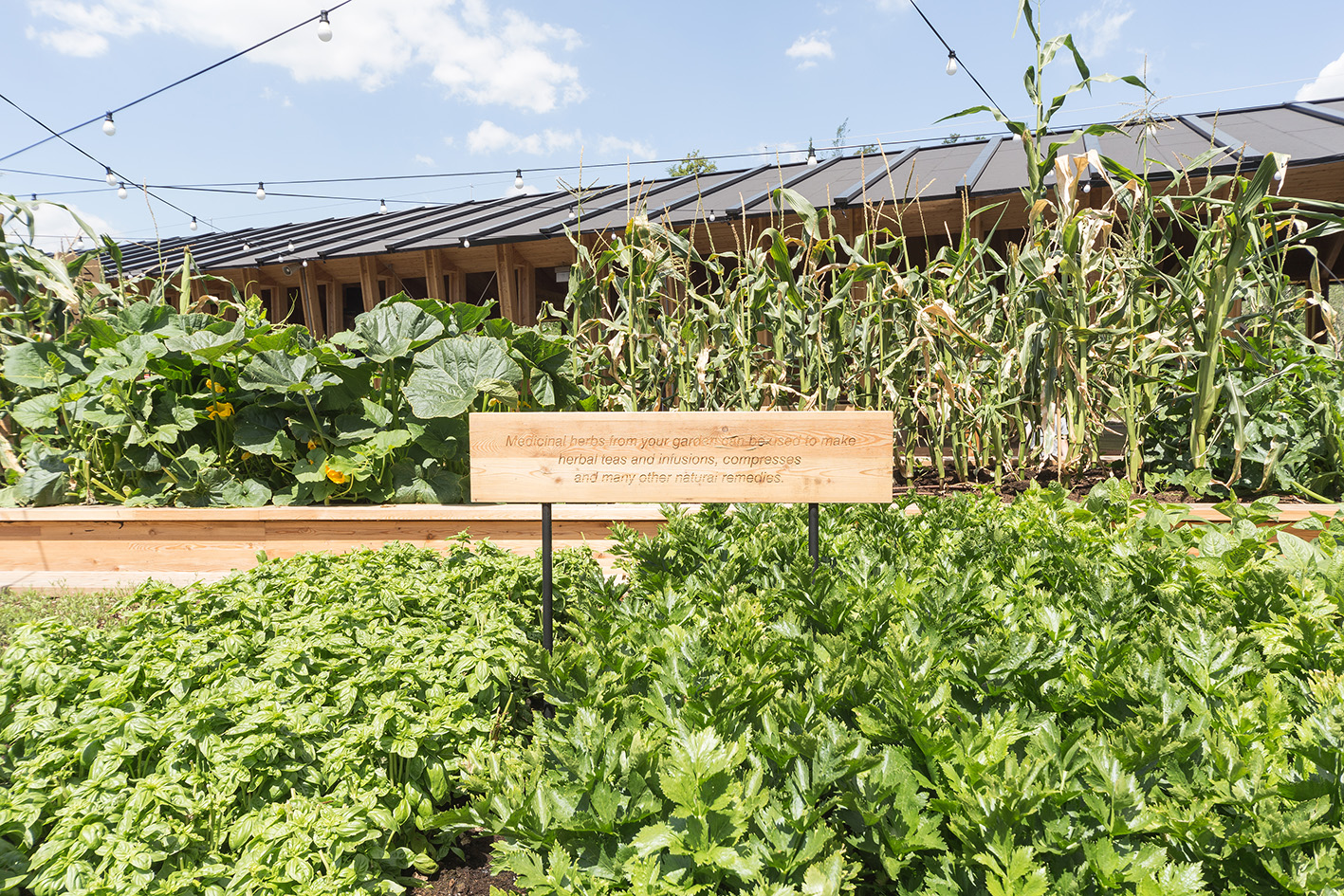 Expo Milano 2015. Slow Food.