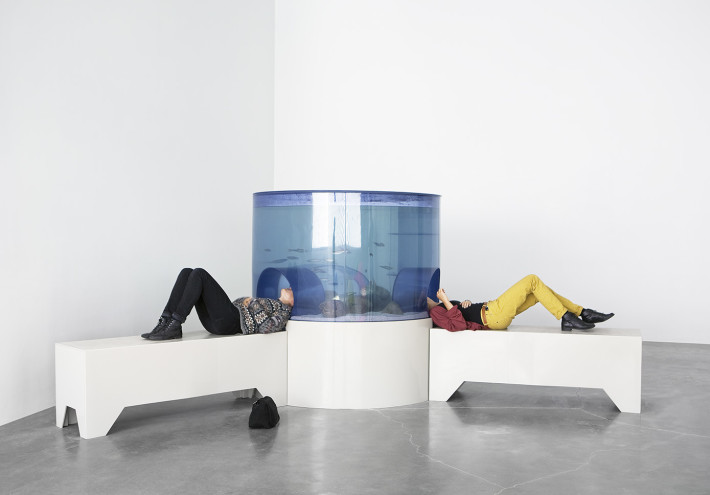 Carsten Höller, Aquarium, 1996. Foto: Benoit Pailley. Courtesy: Carsten Höller e Massimo de Carlo, Milano / London.