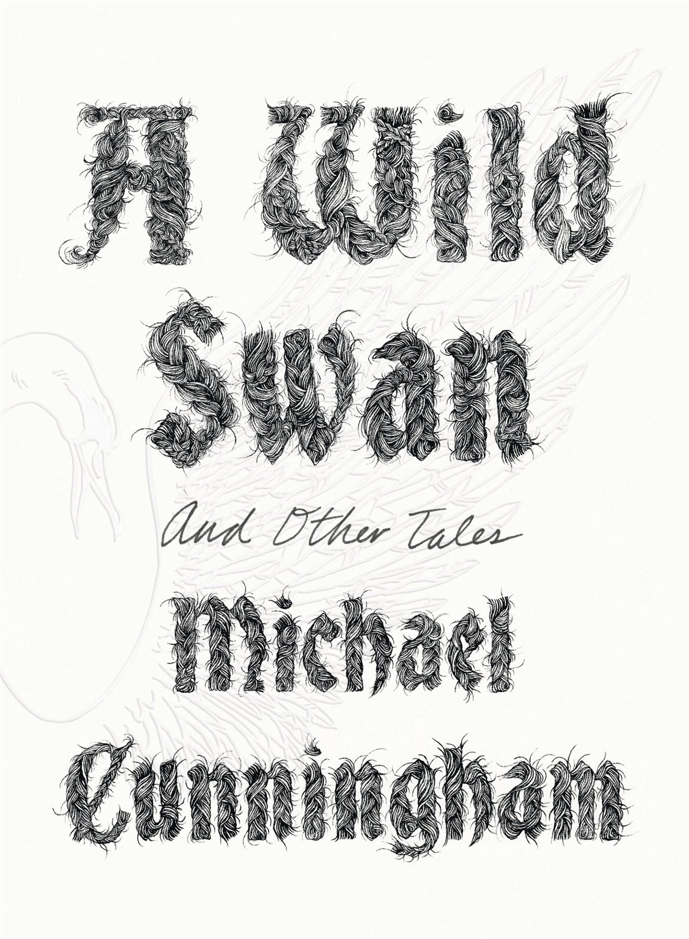 Michael Cunningham, Un cigno selvatico