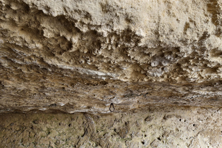 Casa Cueva, Ummo Estudio