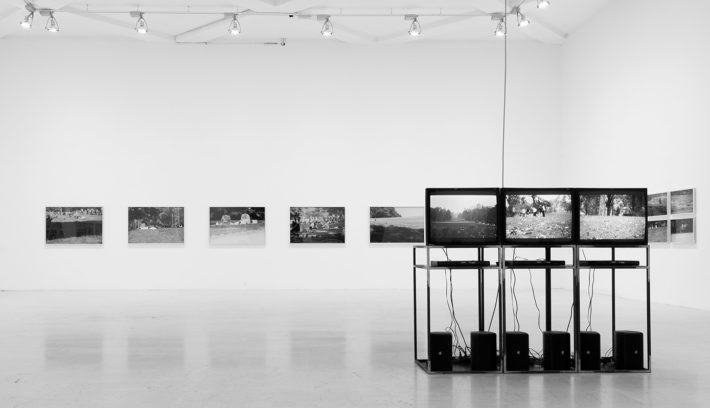 Il parco, vista dell’installazione alla Triennale, Milano, 2008.