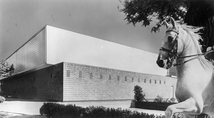 Carlo Mollino and Riccardo Moncalvo, Società Ippica Torinese, photomontage, 1941. Fondo Carlo Mollino, Archives section, Biblioteca Roberto Gabetti, Turin Polytechnic.