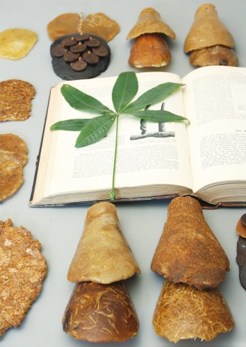Studio Formafantasma, Botanica, 2011. Photo & courtesy: Studio Formafantasma