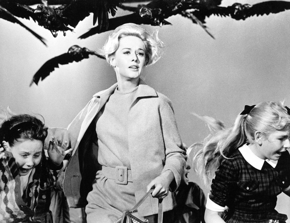 The Birds di ALFRED HITCHCOCK, 1963