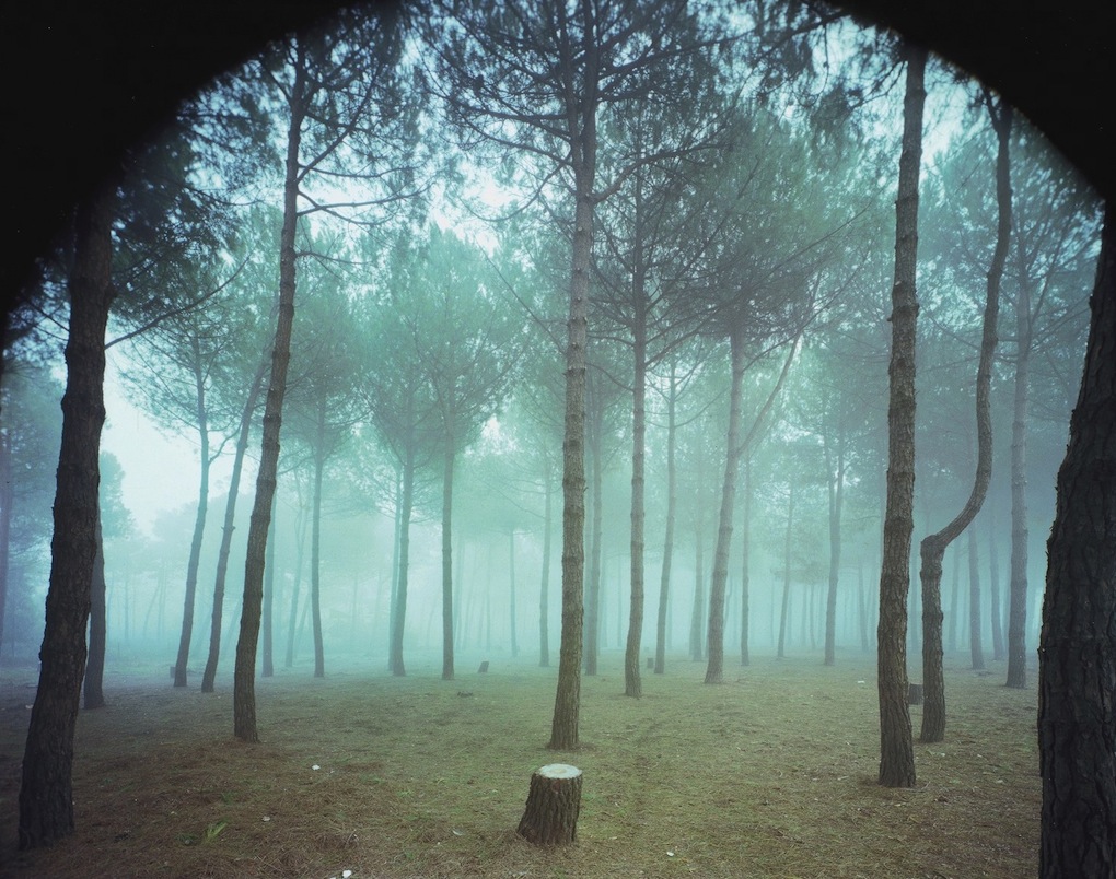 Guido Guidi. Cinque paesaggi, 1983-1993