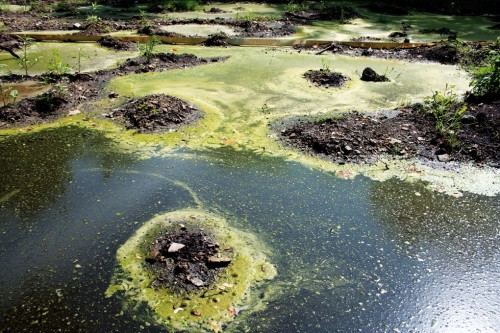 Lara Favaretto, Momentary Monument (Swamp), 2009. Making Worlds/Fare Mondi, 53.Biennale di Venezia. Courtesy: Lara Favaretto, Galleria Franco Noero, Torino