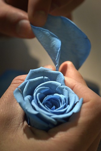 Ballon Bleu Perroquet en marqueterie florale, Cartier