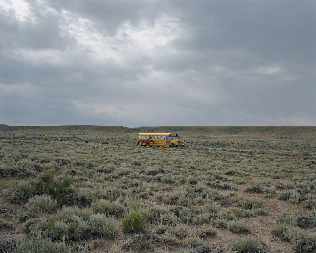 Alec Soth, 2008_08zL0047 (horse and bus), 2008.