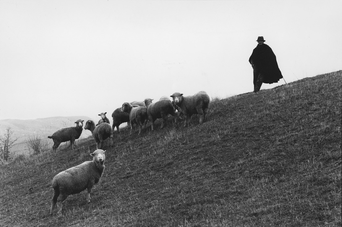 Francesco Radino. Dalla serie "Lucania", San Fele, 1981