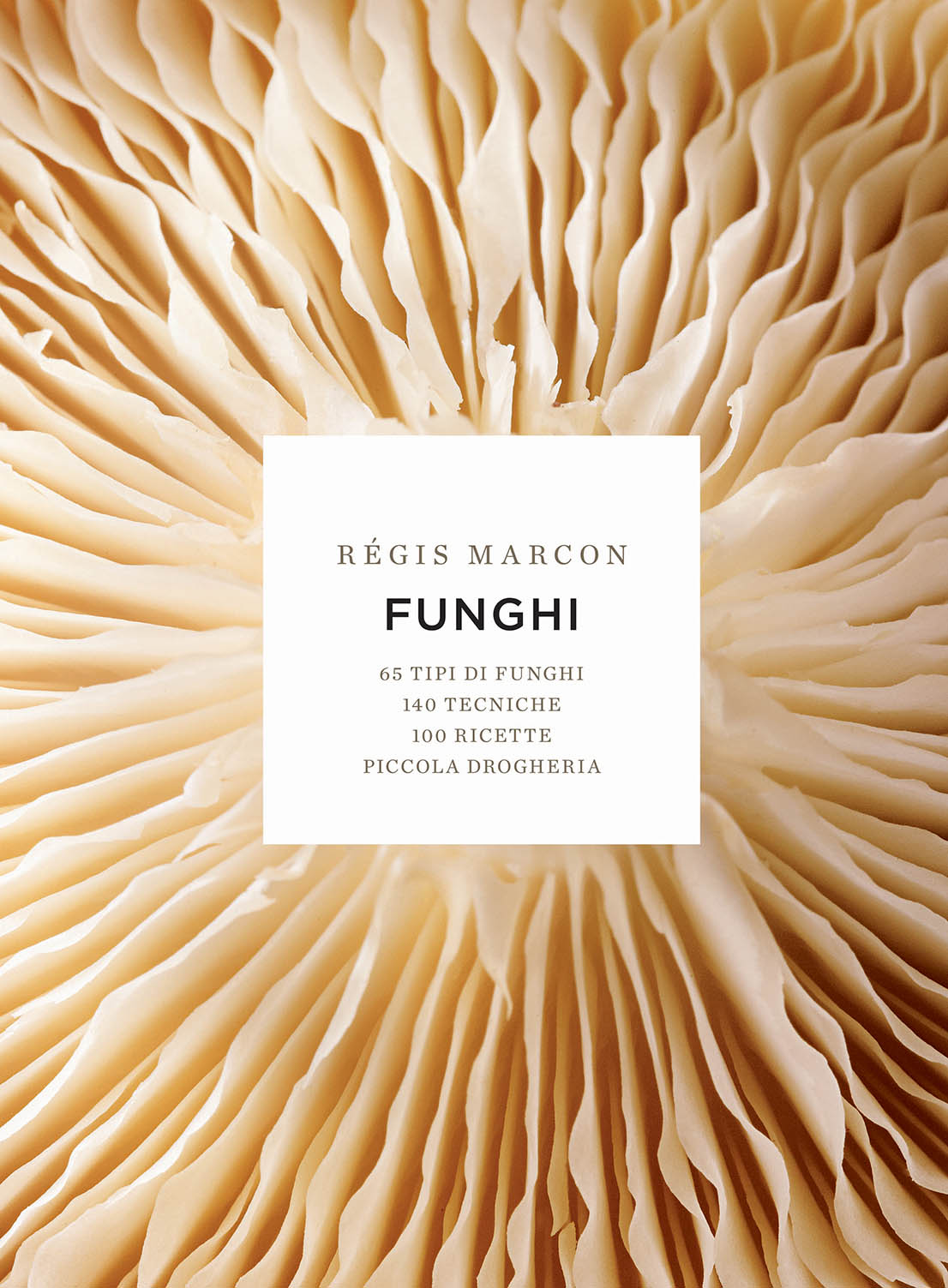 Funghi di Régis Marcon