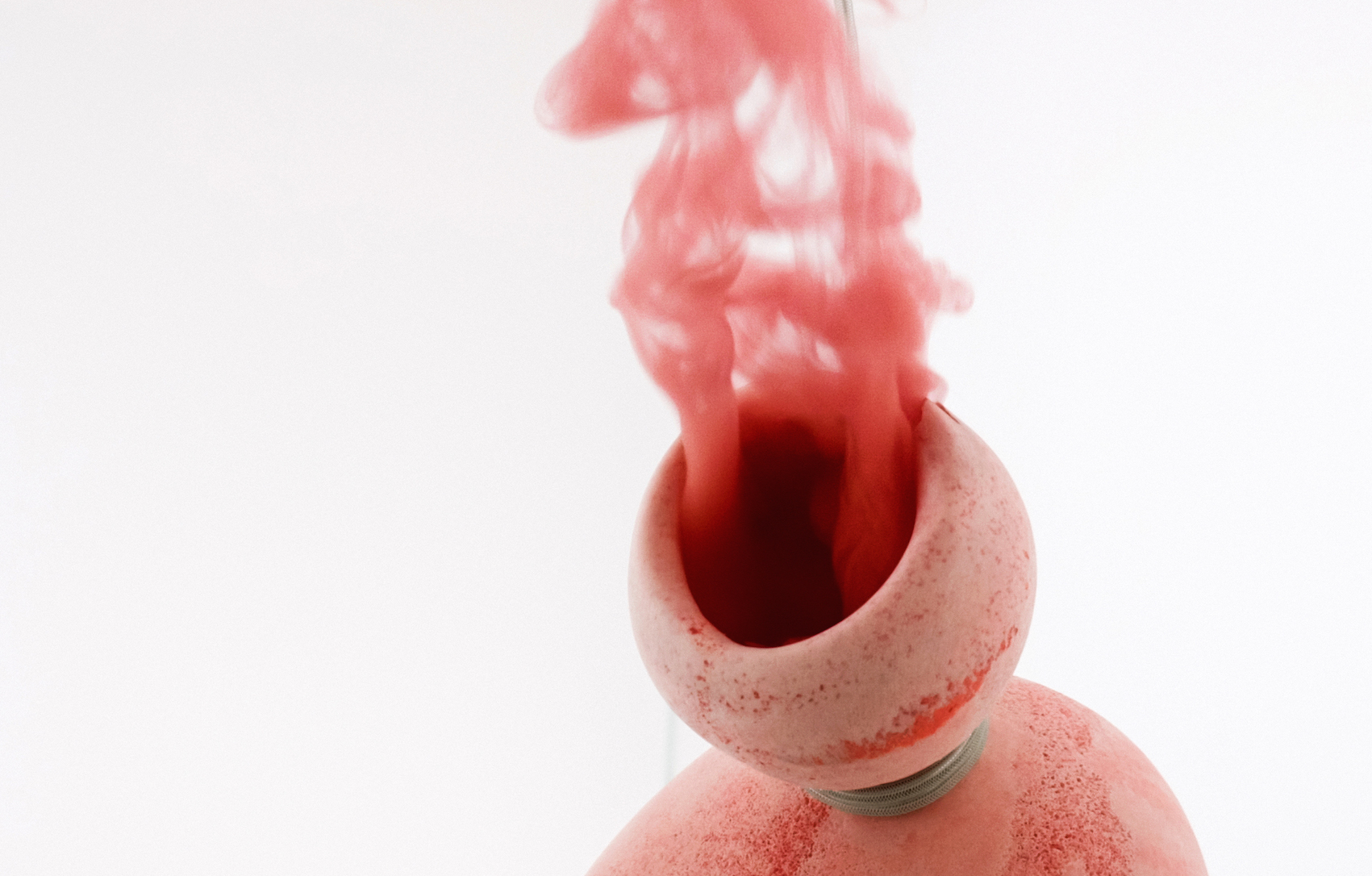 Bioplastic Fantastic di/by Johanna Schmeer.