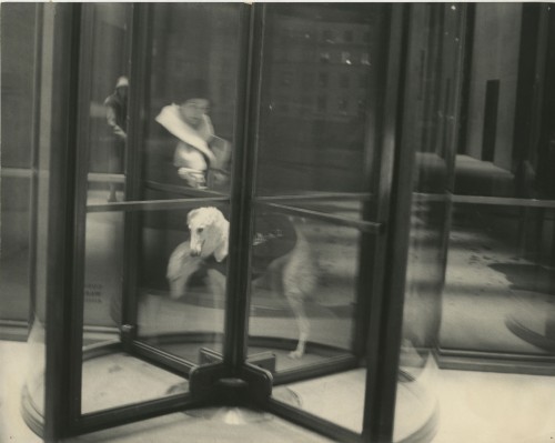 Vico Magistretti, Londra, 1958.