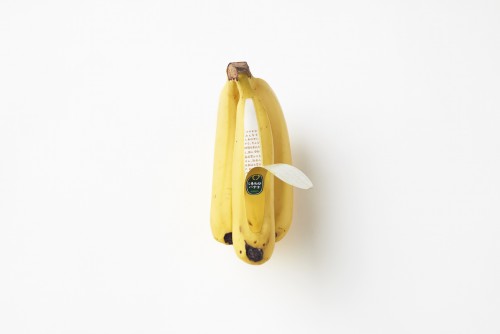 Shiawase Banana, Nendo.