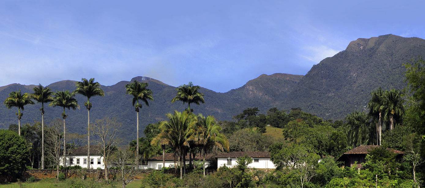 Fazenda Vargem Grande, Roberto Burle Marx