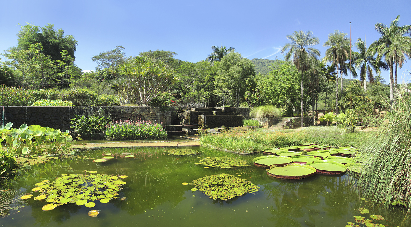 Fazenda Vargem Grande, Roberto Burle Marx