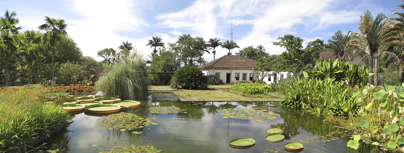 Fazenda Vargem Grande, Roberto Burle Marx