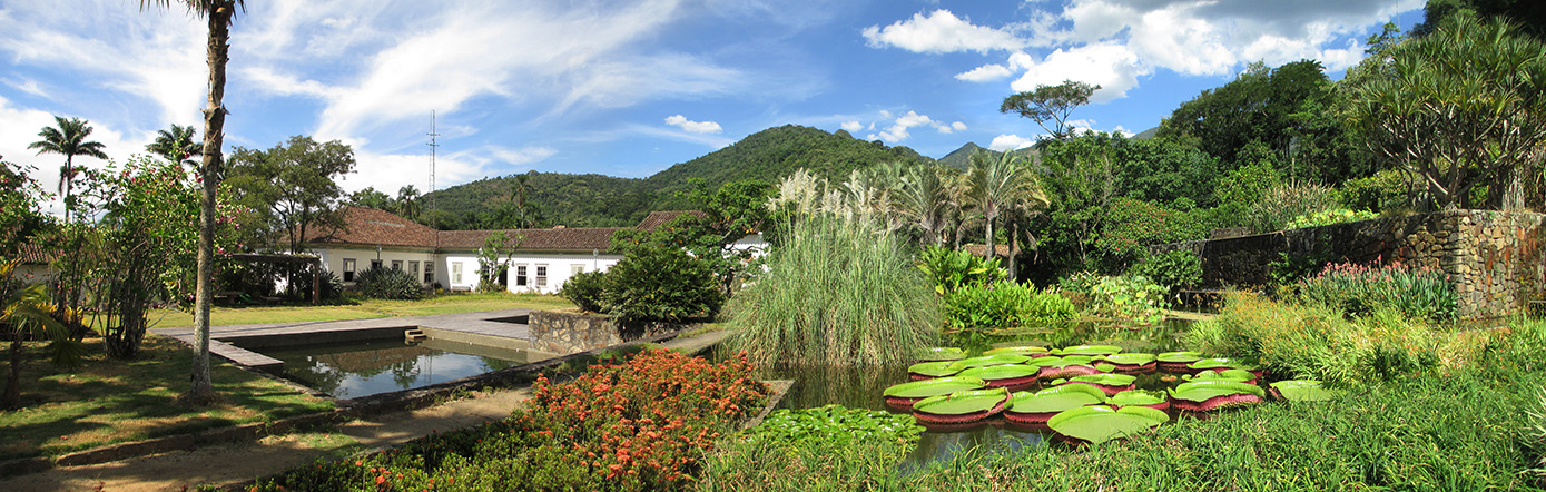 Fazenda Vargem Grande, Roberto Burle Marx