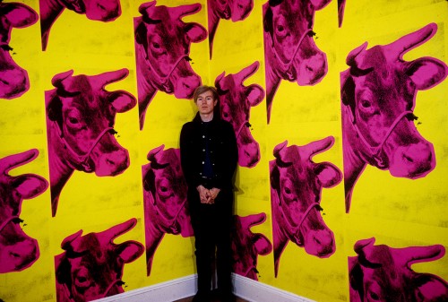 Andy Warhol (1928-1987) devant le Cow Wallpaper, 1965.