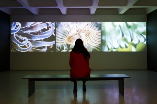 The World of Charles and Ray Eames. Barbican Art Gallery, London.