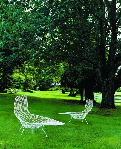 Diamond Chair, design di Harry Bertoia per Knoll.