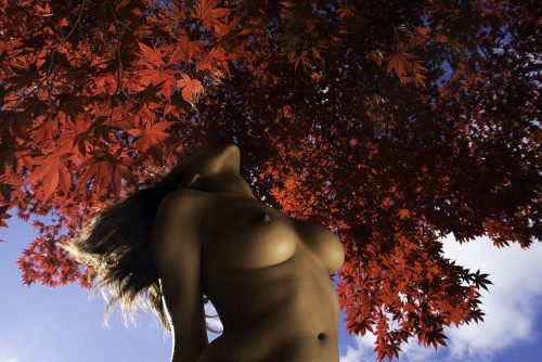 Ryan McGinley, Red Maple Bust, 2015.