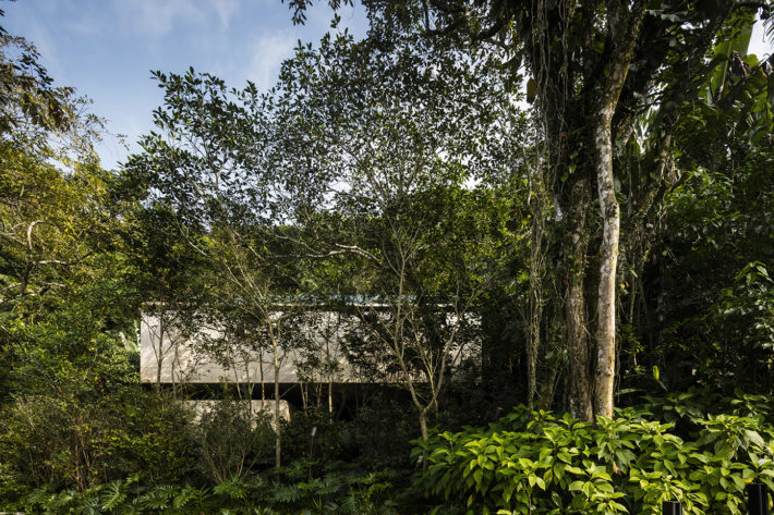 Casa na Mata, Guarujá