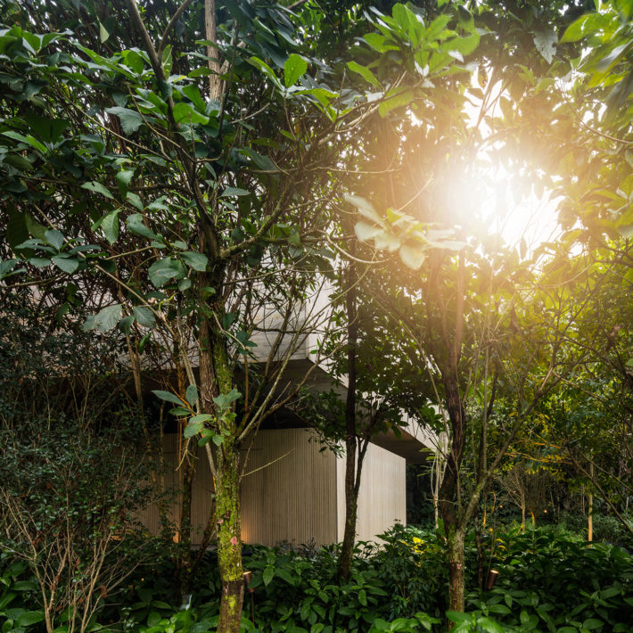 Casa na Mata, Guarujá